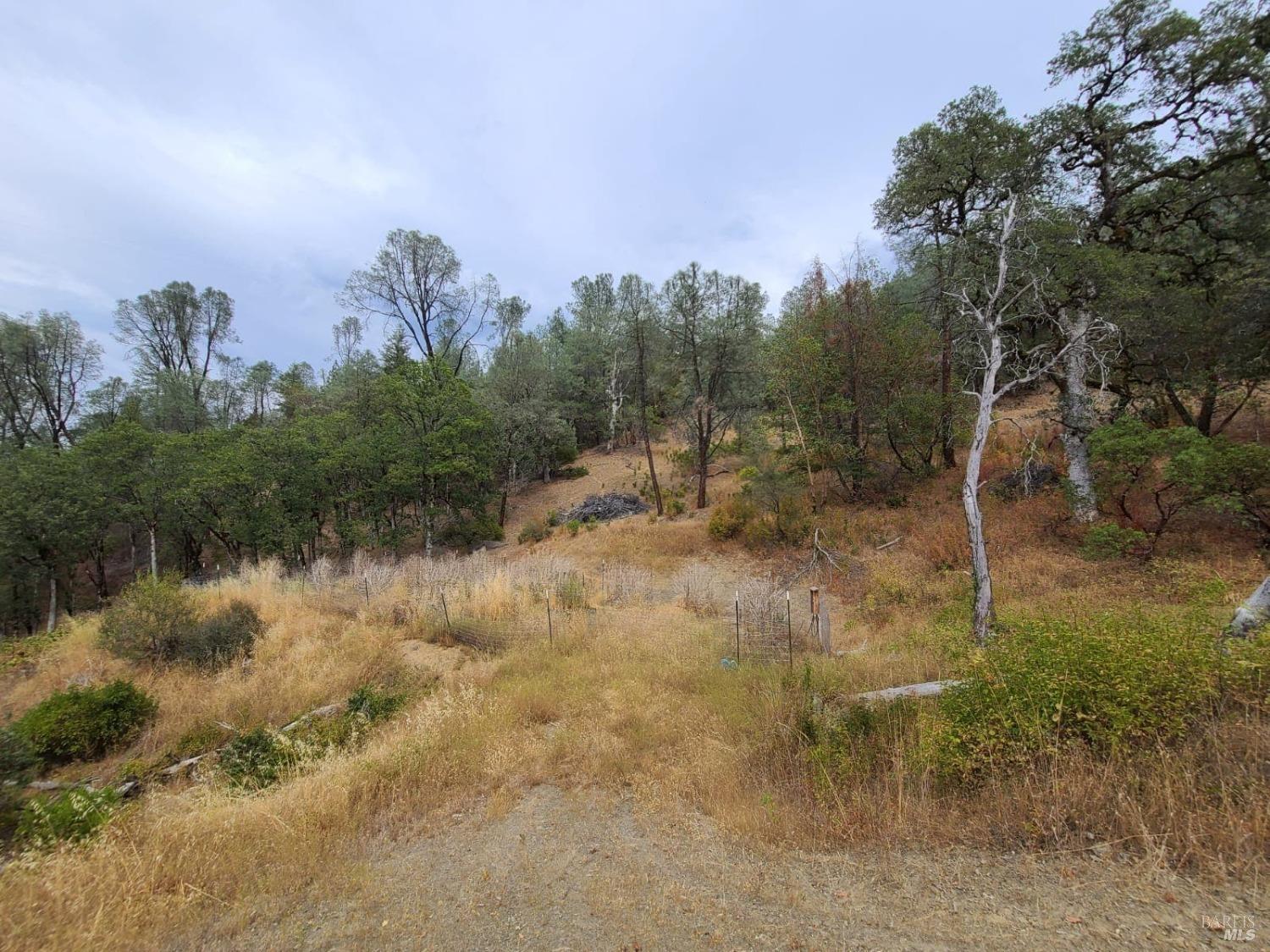 Covelo CA 95428