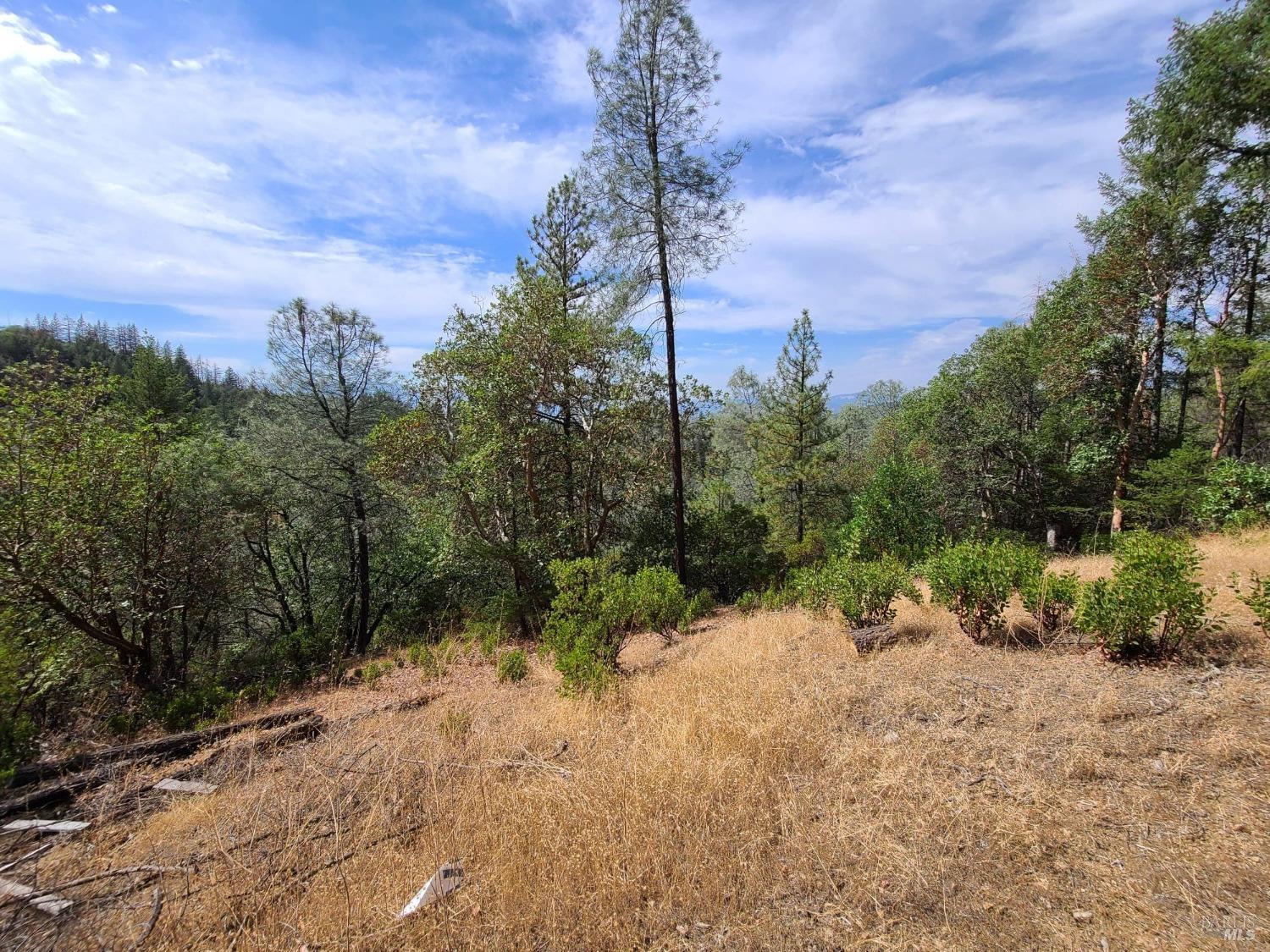 Covelo CA 95428