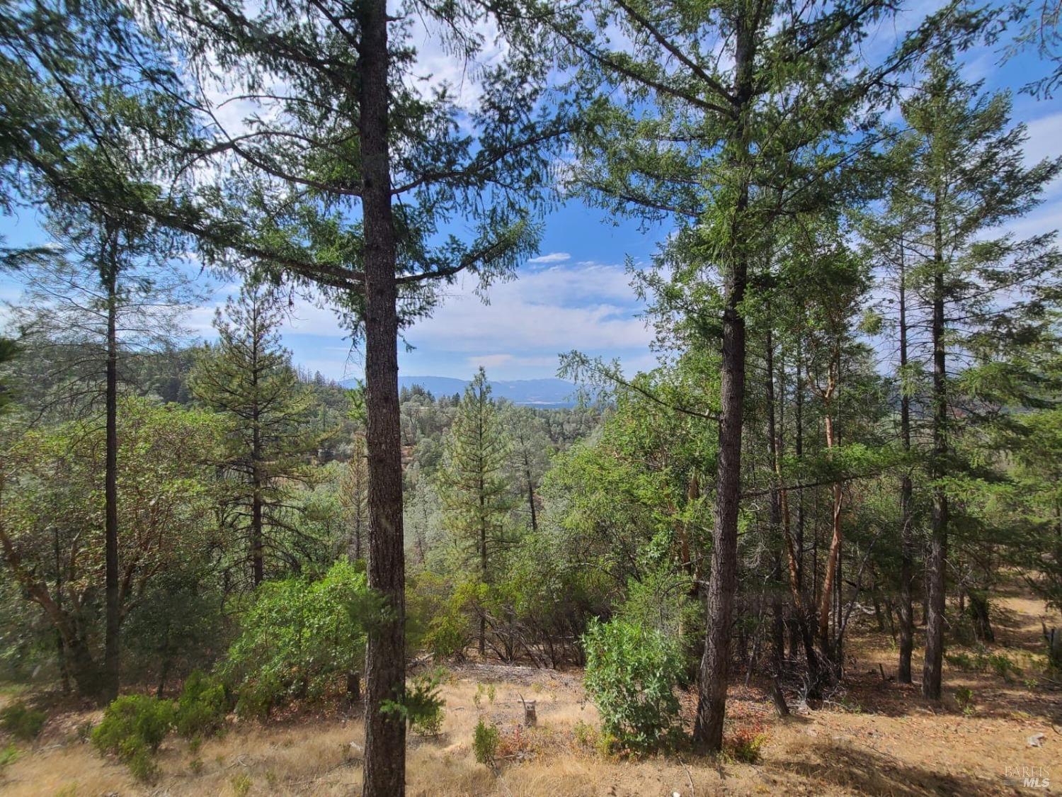 Covelo CA 95428