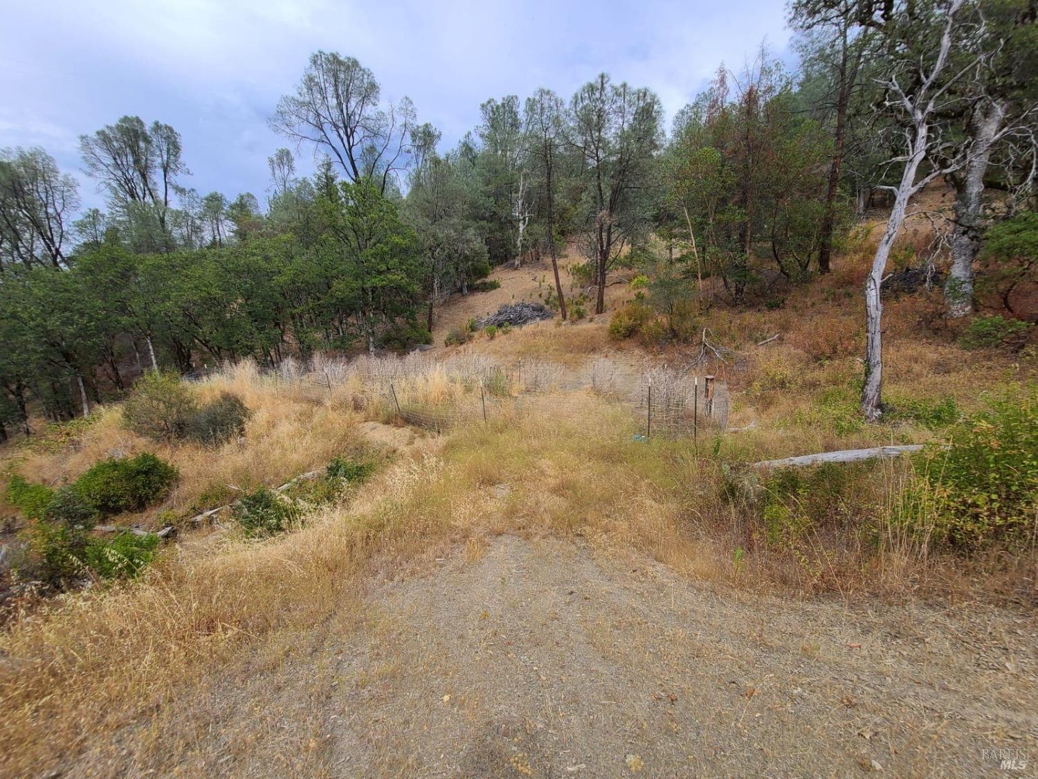 Covelo CA 95428