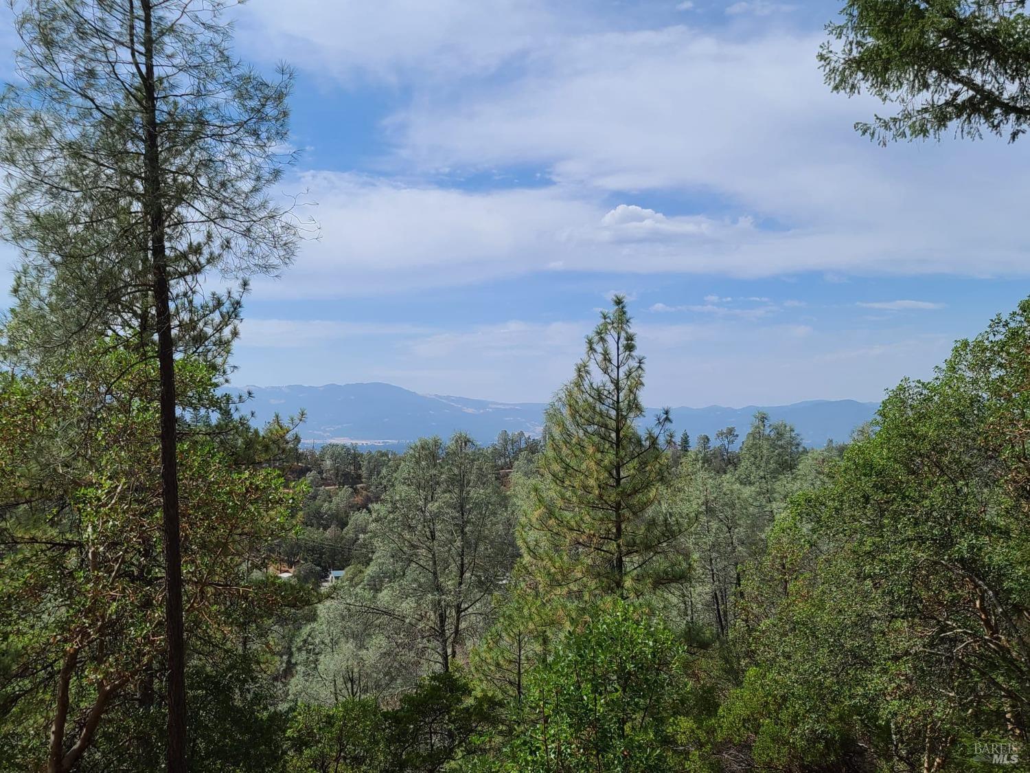 Covelo CA 95428