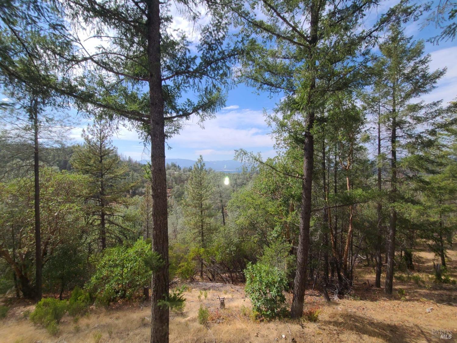 Covelo CA 95428