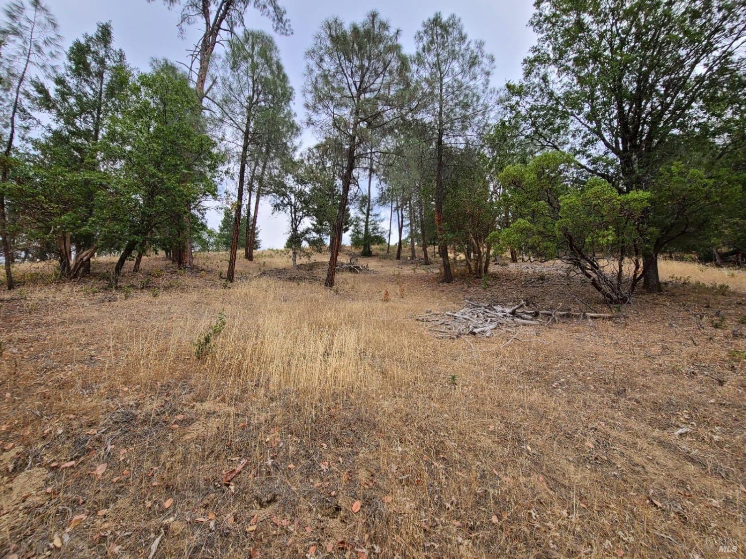 Covelo CA 95428