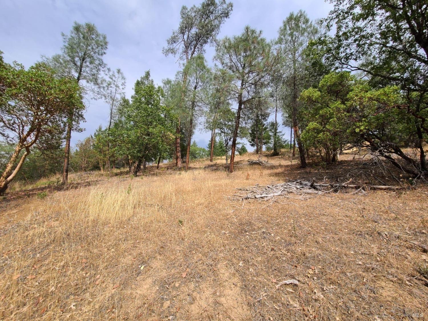Covelo CA 95428