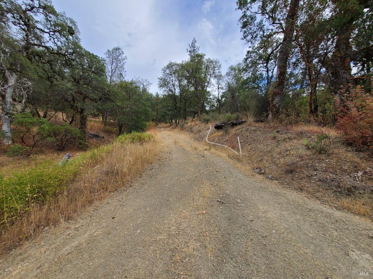 Covelo CA 95428
