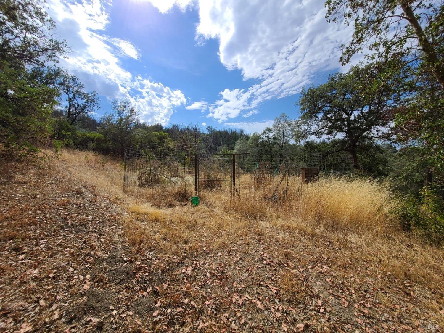 Covelo CA 95428