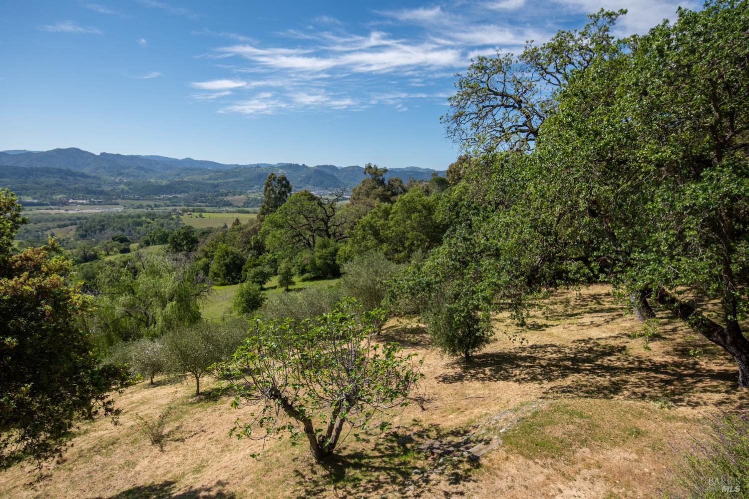 1163 Mountain Pine Road Cloverdale CA 95425