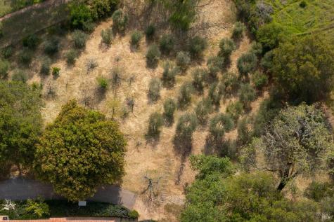 1163 Mountain Pine Road Cloverdale CA 95425