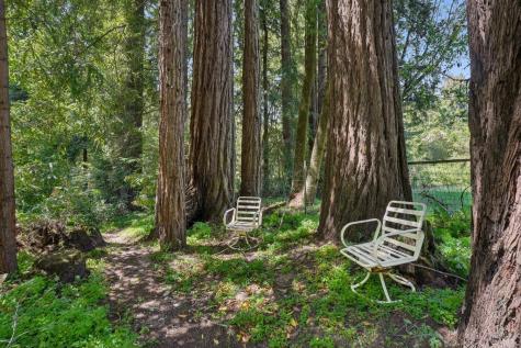 189 Wagnon Road Sebastopol CA 95472