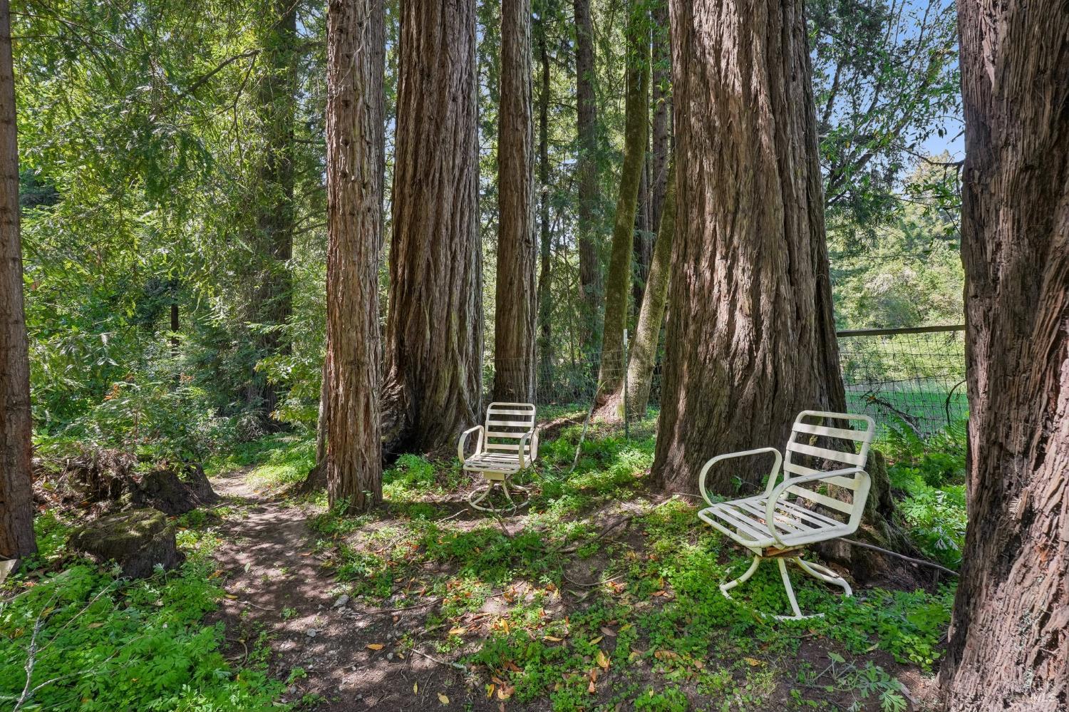 189 Wagnon Road Sebastopol CA 95472