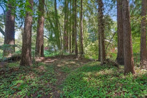 189 Wagnon Road Sebastopol CA 95472