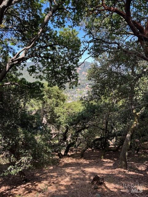 80 Oakmont Avenue San Rafael CA 94901