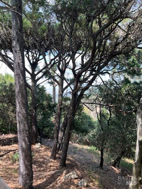 80 Oakmont Avenue San Rafael CA 94901