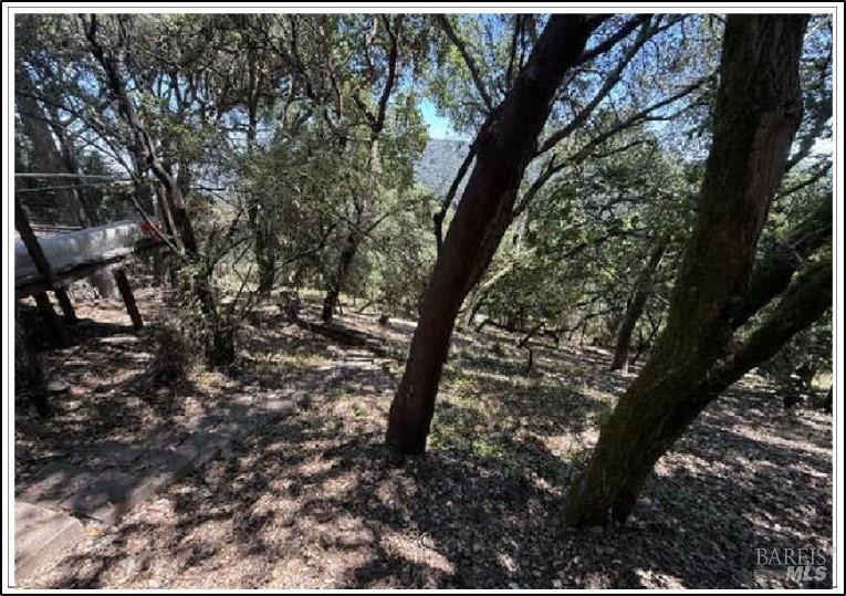 80 Oakmont Avenue San Rafael CA 94901