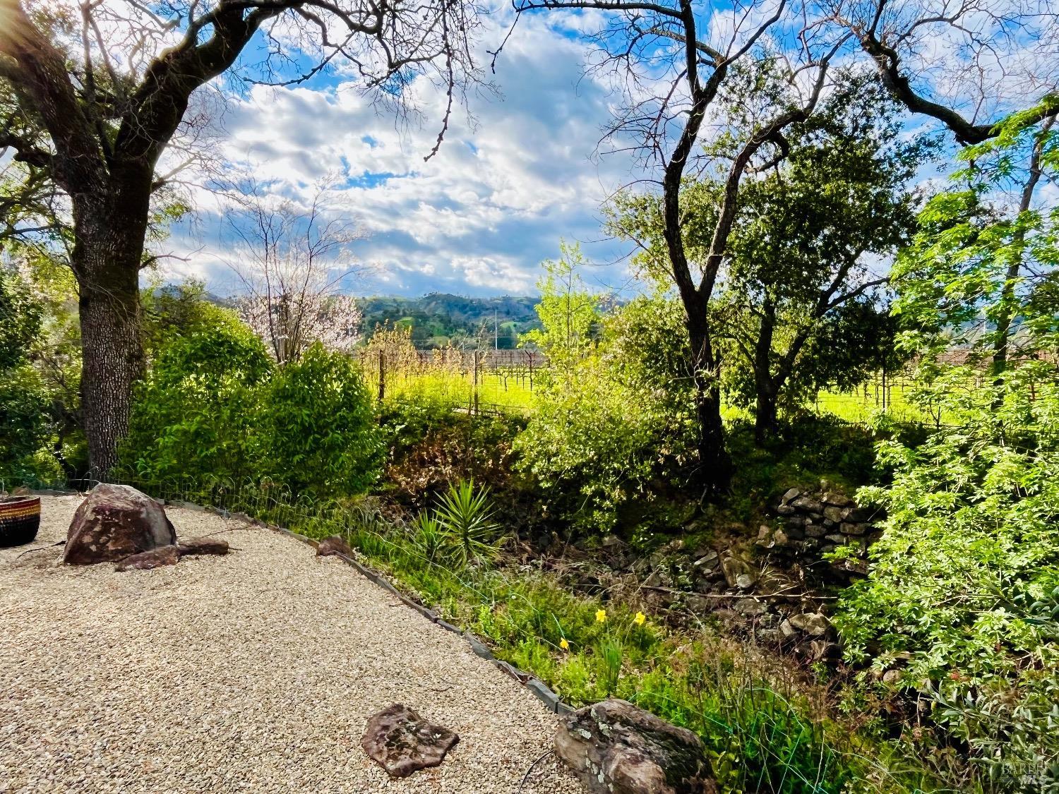 1261 Spring Brook Court St. Helena CA 94574