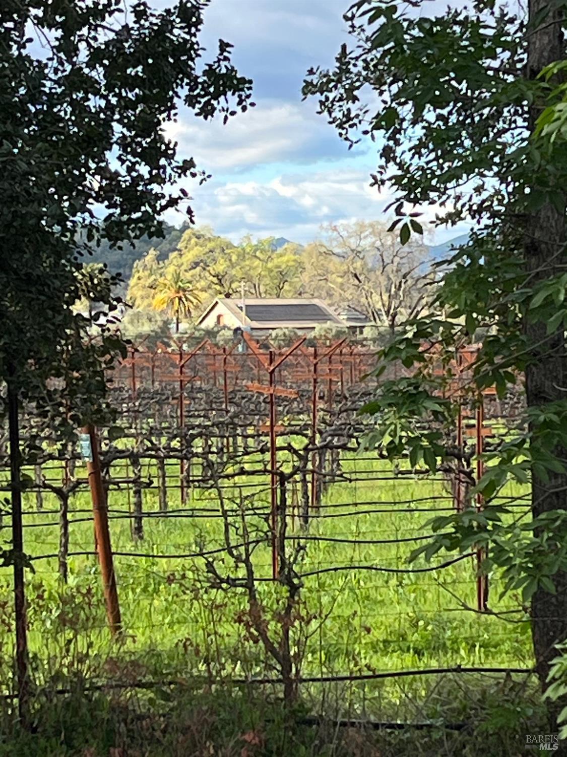 1261 Spring Brook Court St. Helena CA 94574