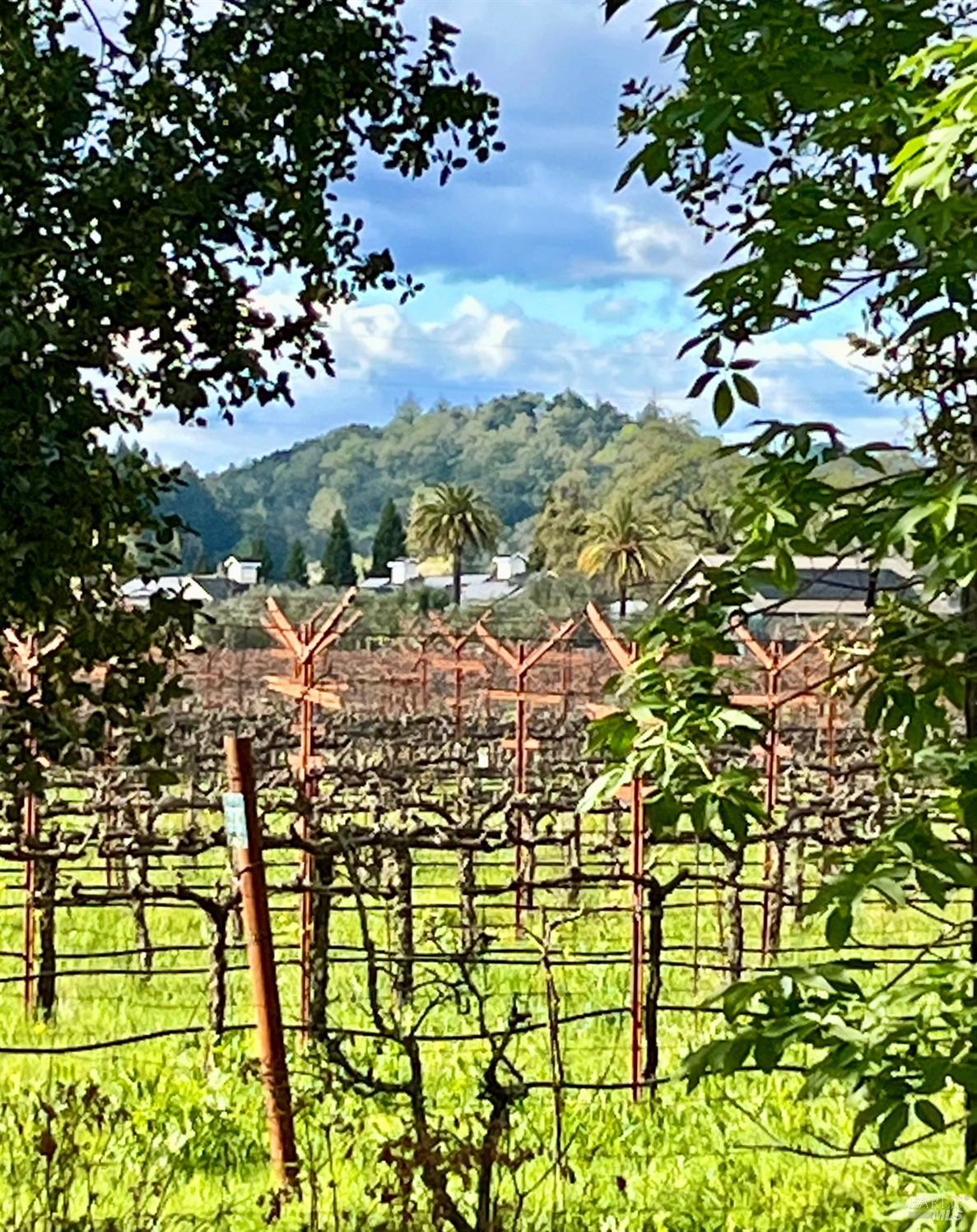 1261 Spring Brook Court St. Helena CA 94574