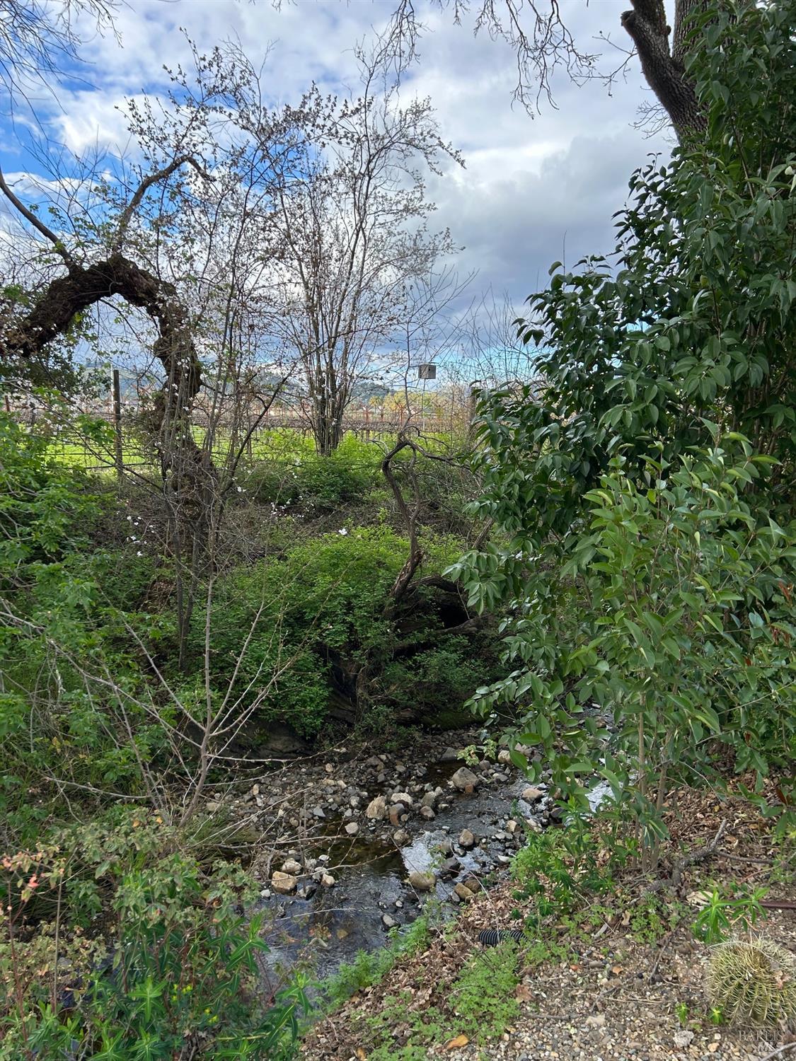 1261 Spring Brook Court St. Helena CA 94574