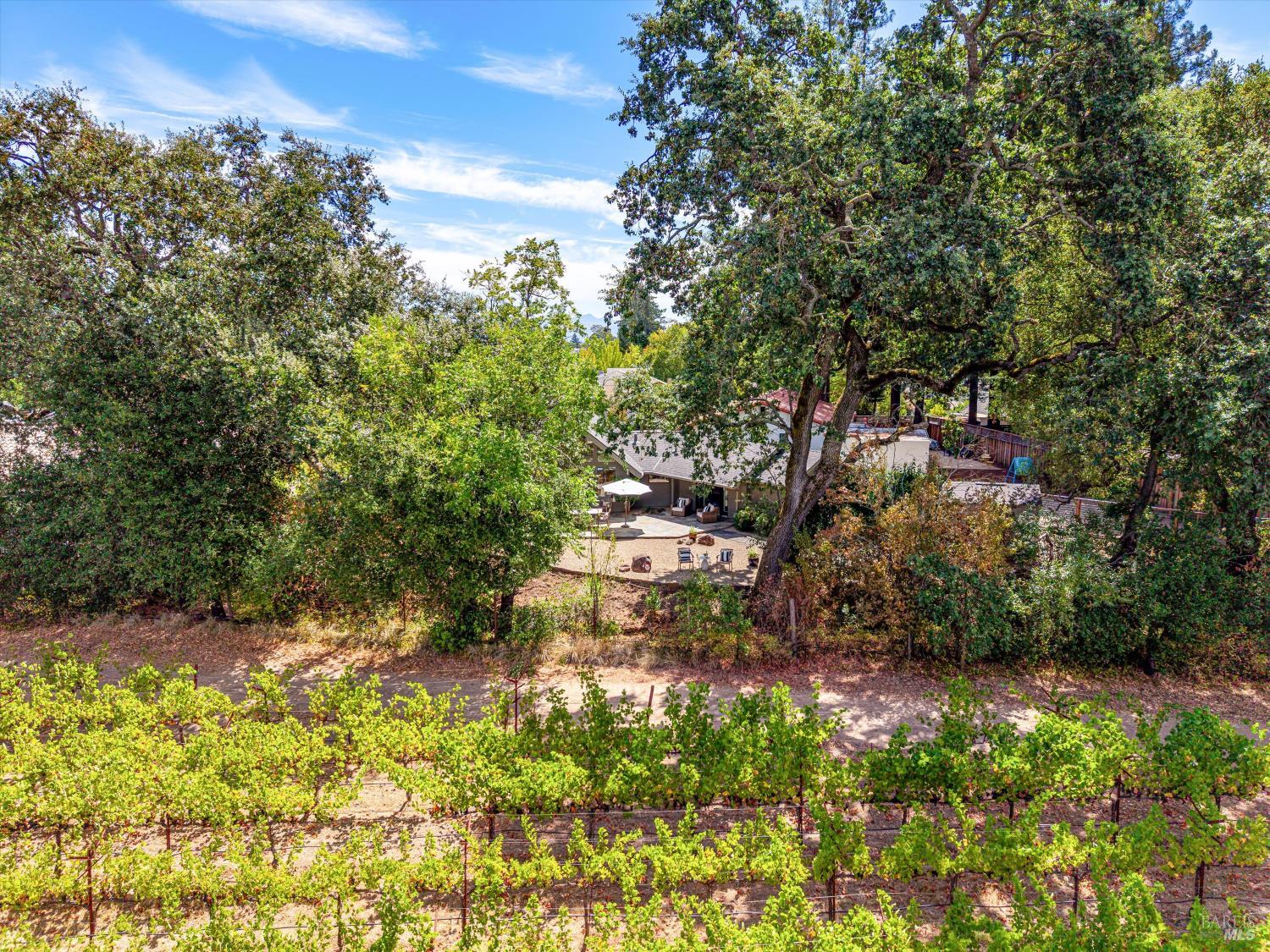 1261 Spring Brook Court St. Helena CA 94574