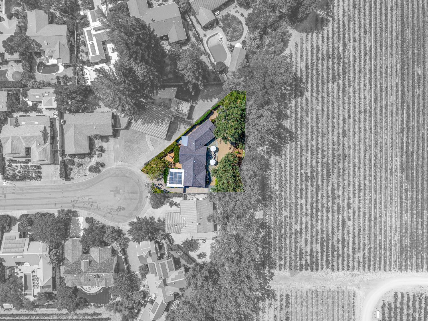 1261 Spring Brook Court St. Helena CA 94574