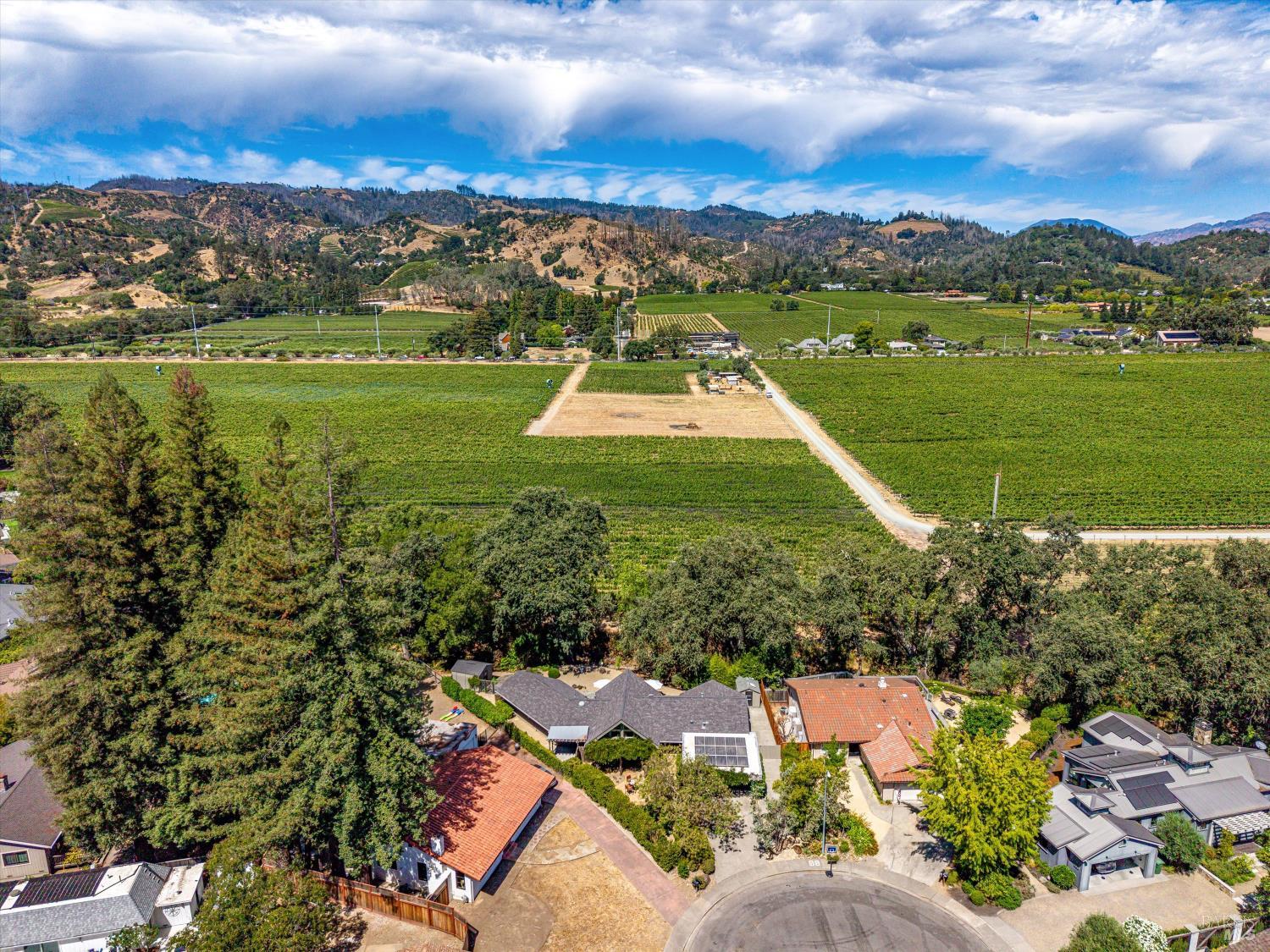 1261 Spring Brook Court St. Helena CA 94574