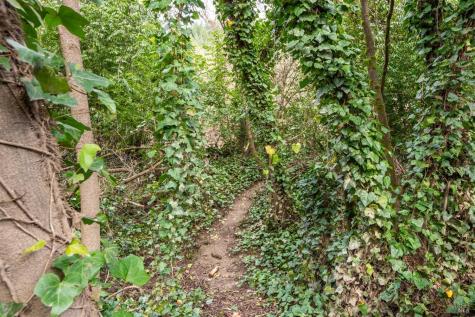 14792 Northern Avenue Guerneville CA 95446