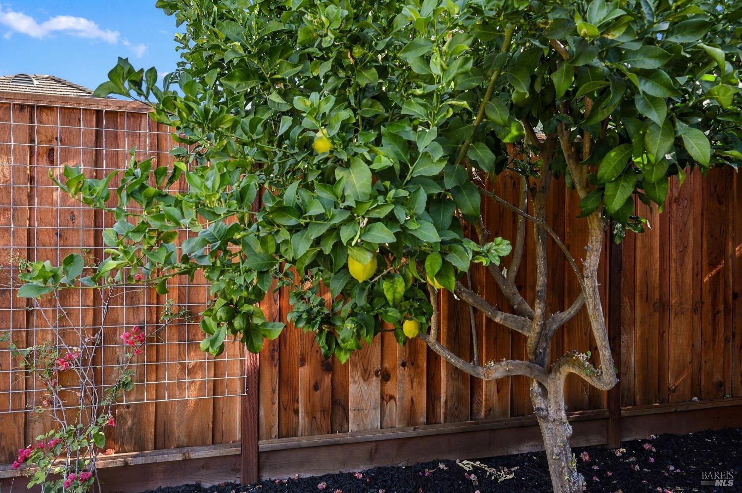 4412 Malaga Way Napa CA 94558
