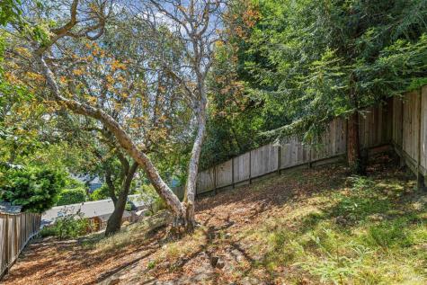 40 Elm Avenue San Anselmo CA 94960