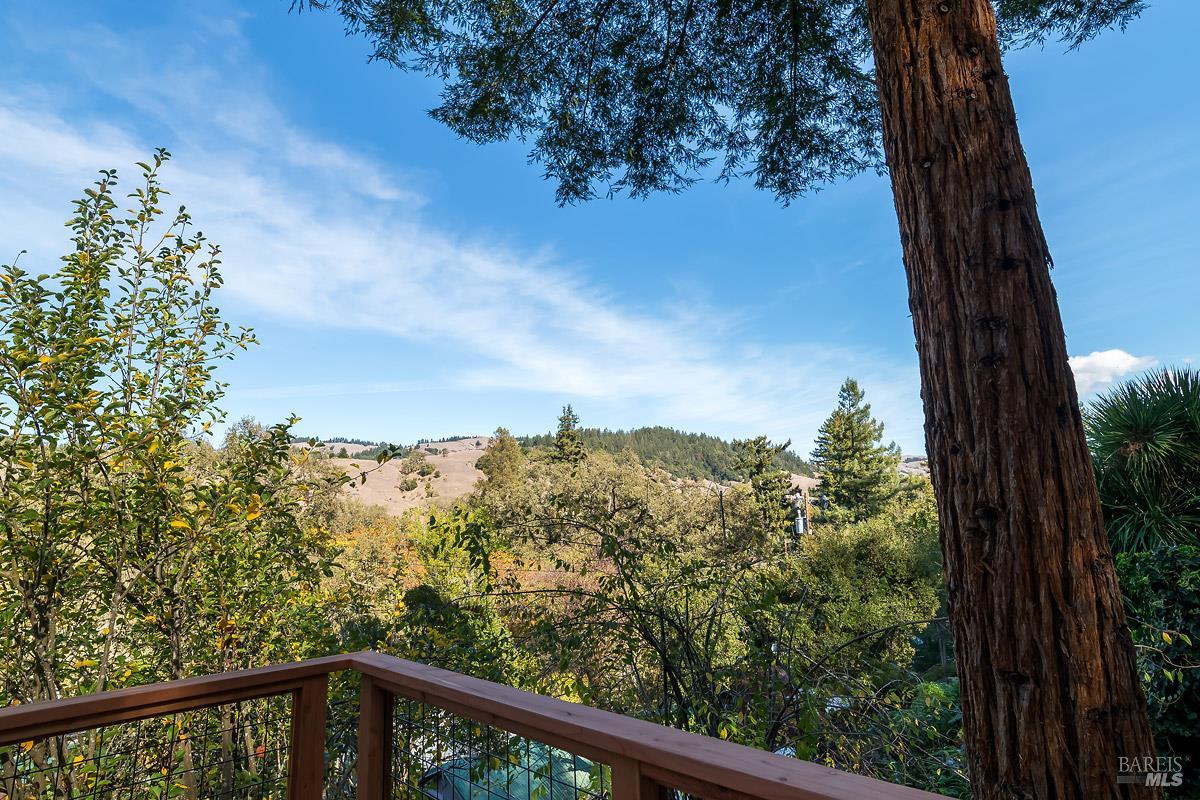 3 Sunshine Lane San Geronimo CA 94963