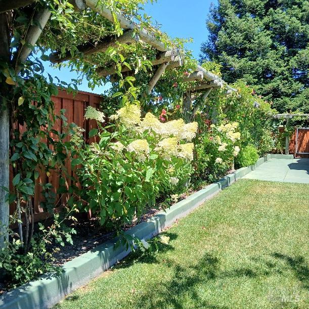 6133 Tamara Lane Windsor CA 95492