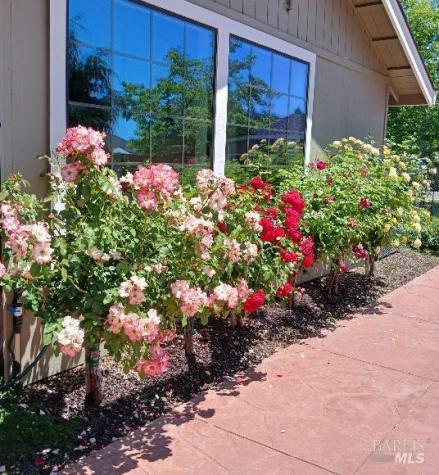 6133 Tamara Lane Windsor CA 95492