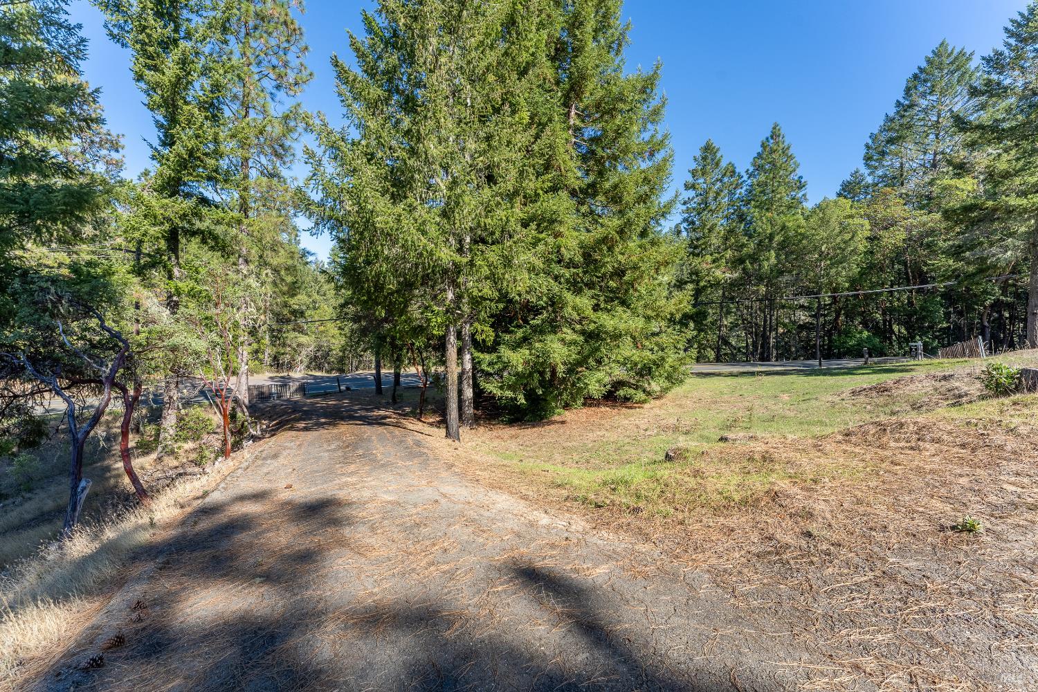 3651 Ridgewood Road Willits CA 95490