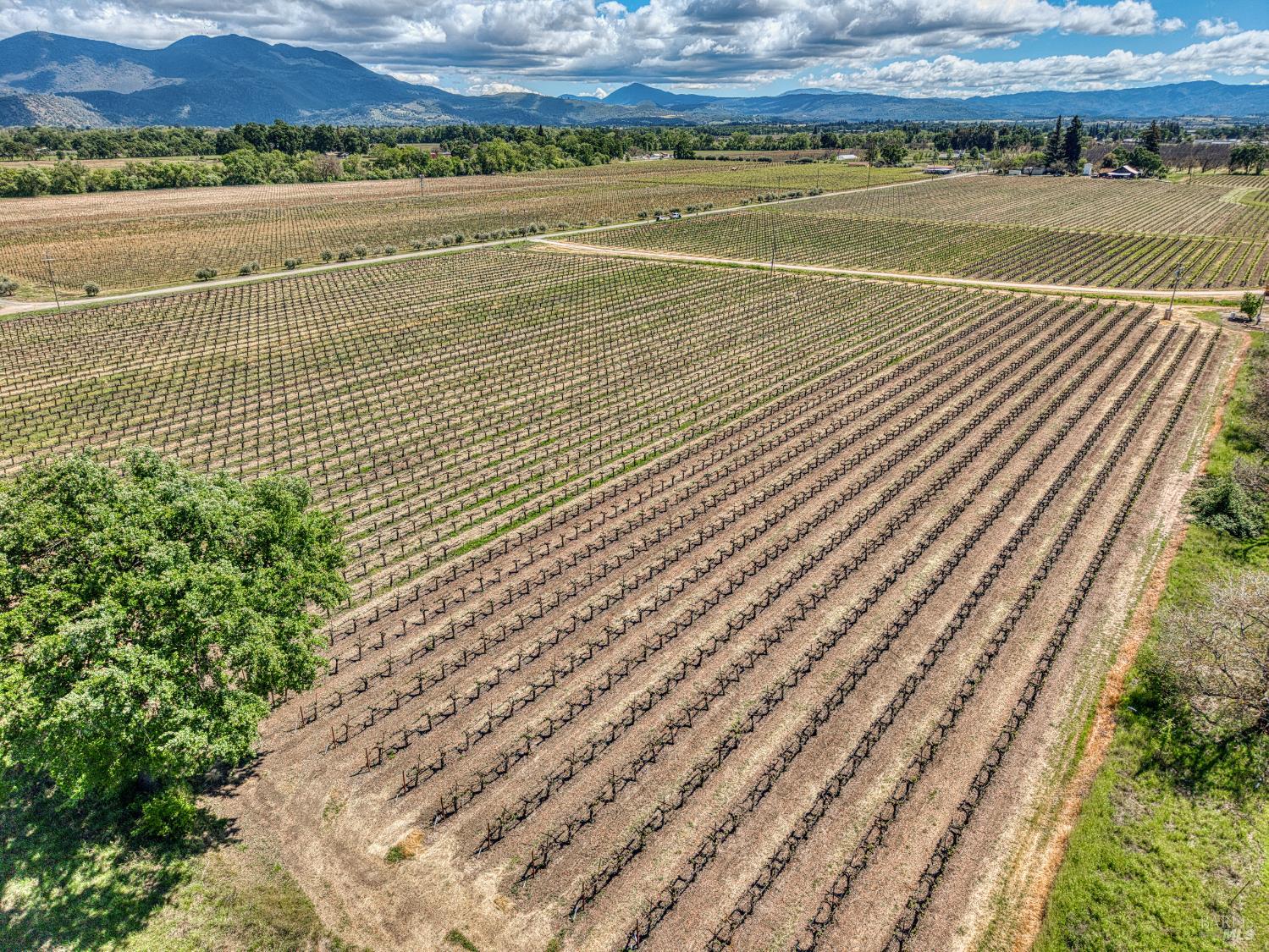 2195 Stone Drive Lakeport CA 95453