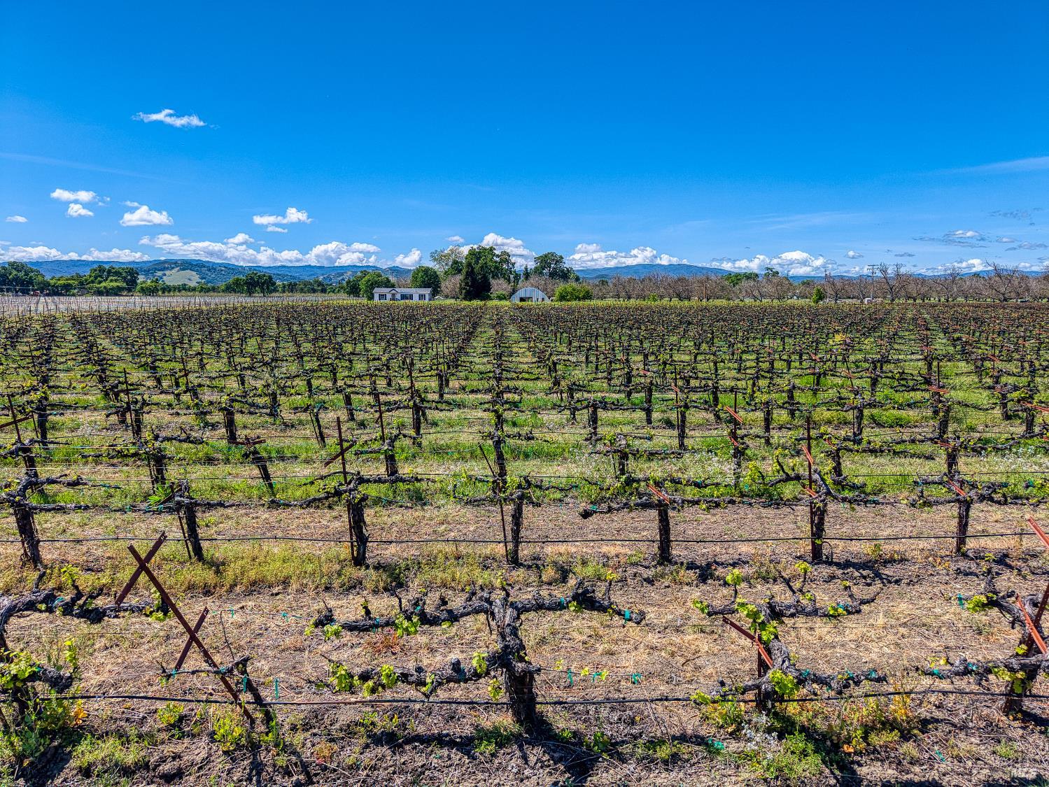 2195 Stone Drive Lakeport CA 95453
