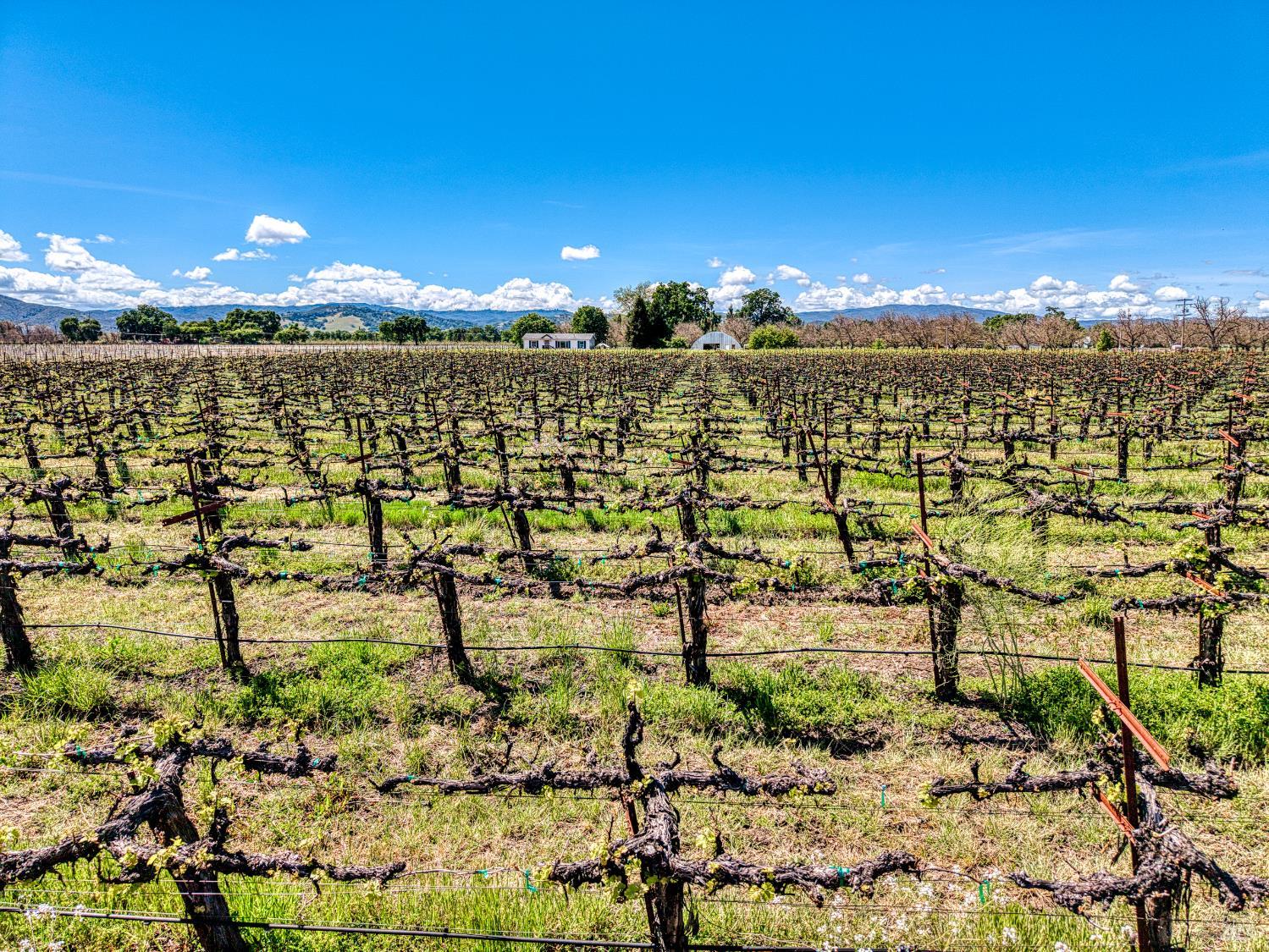 2195 Stone Drive Lakeport CA 95453