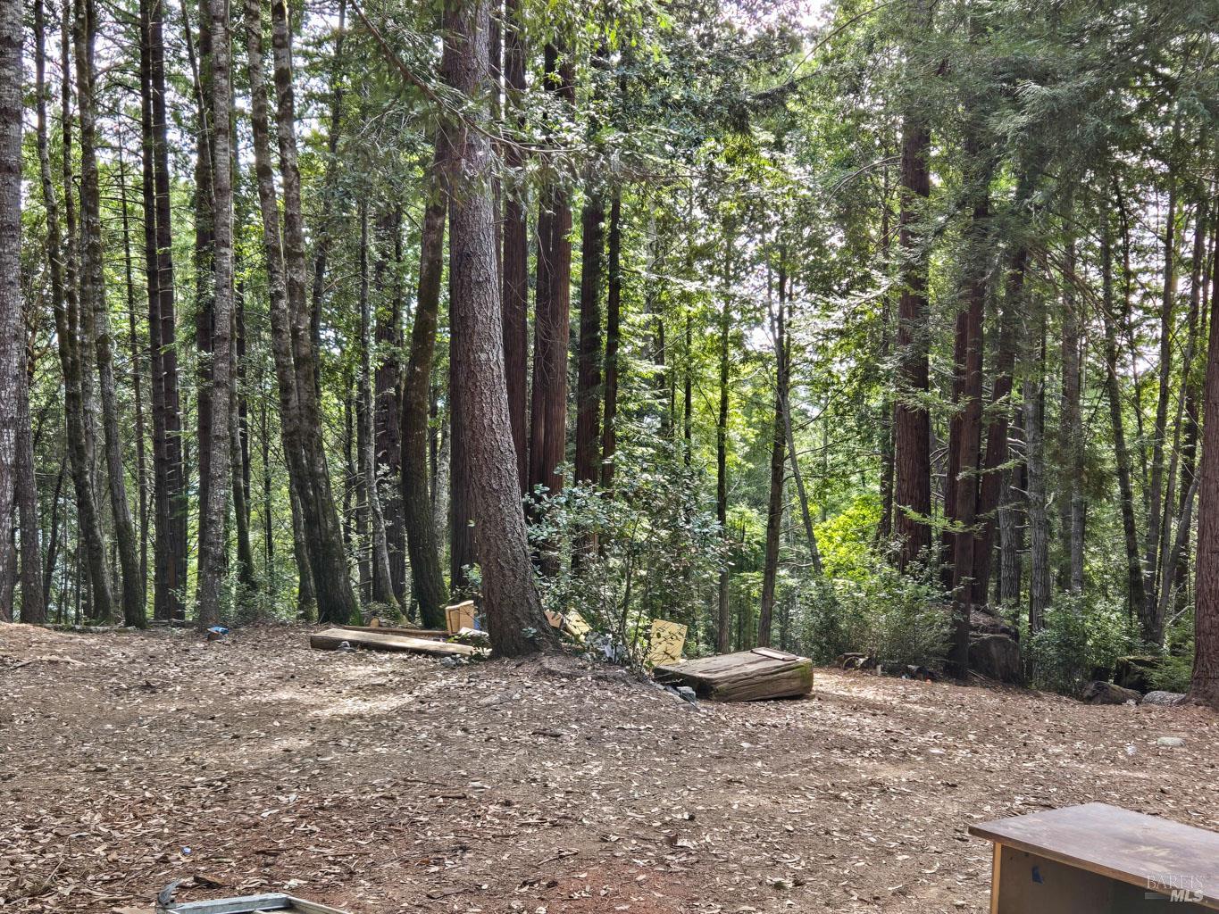4030 Ridge Circle Willits CA 95490