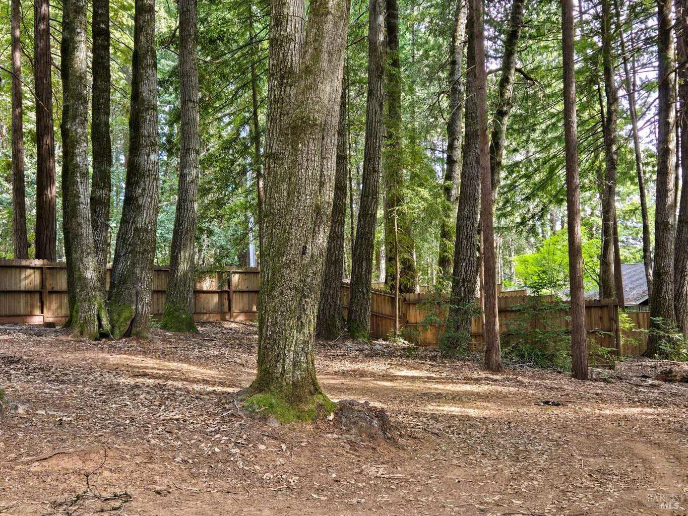 4030 Ridge Circle Willits CA 95490