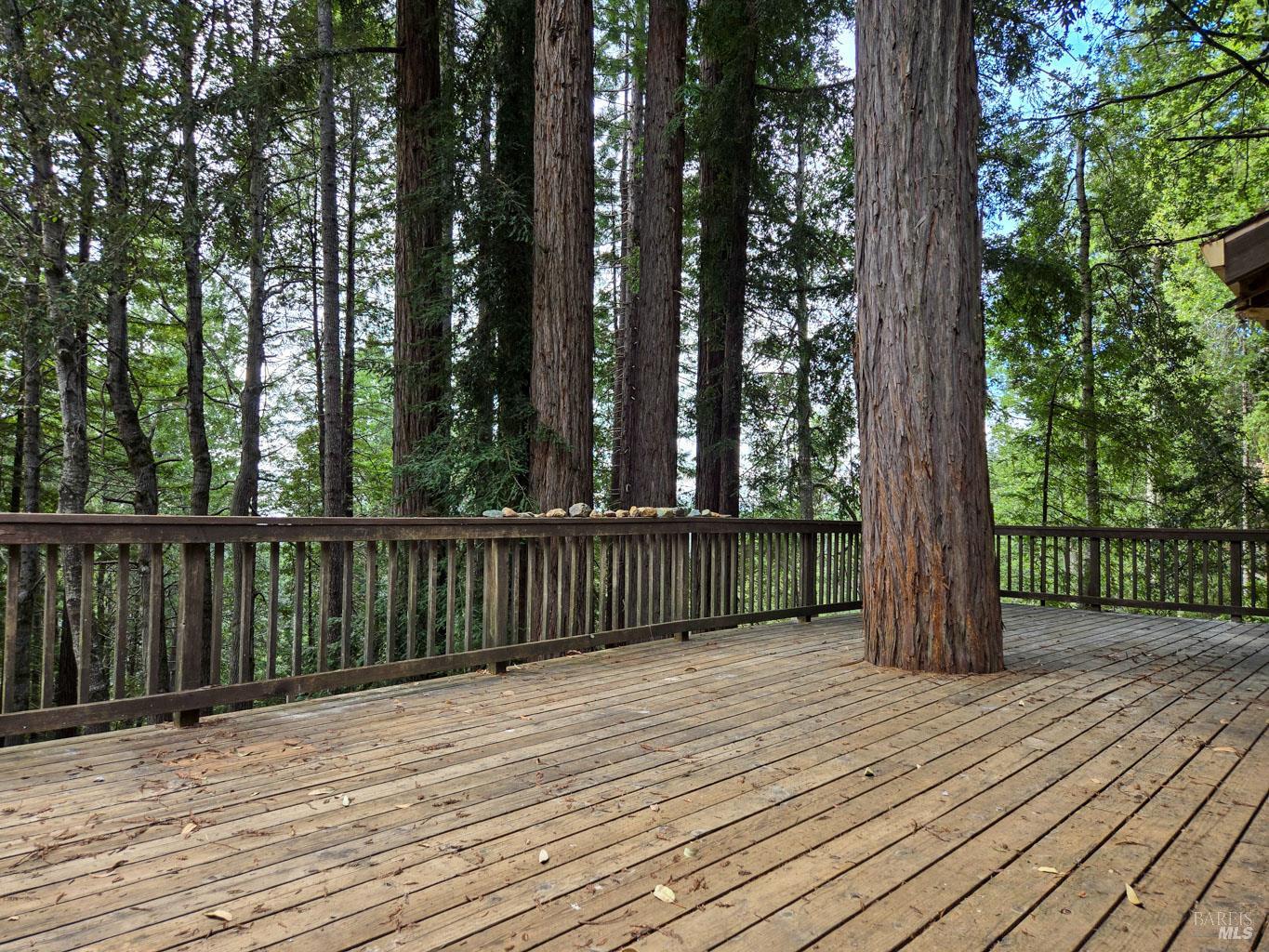 4030 Ridge Circle Willits CA 95490