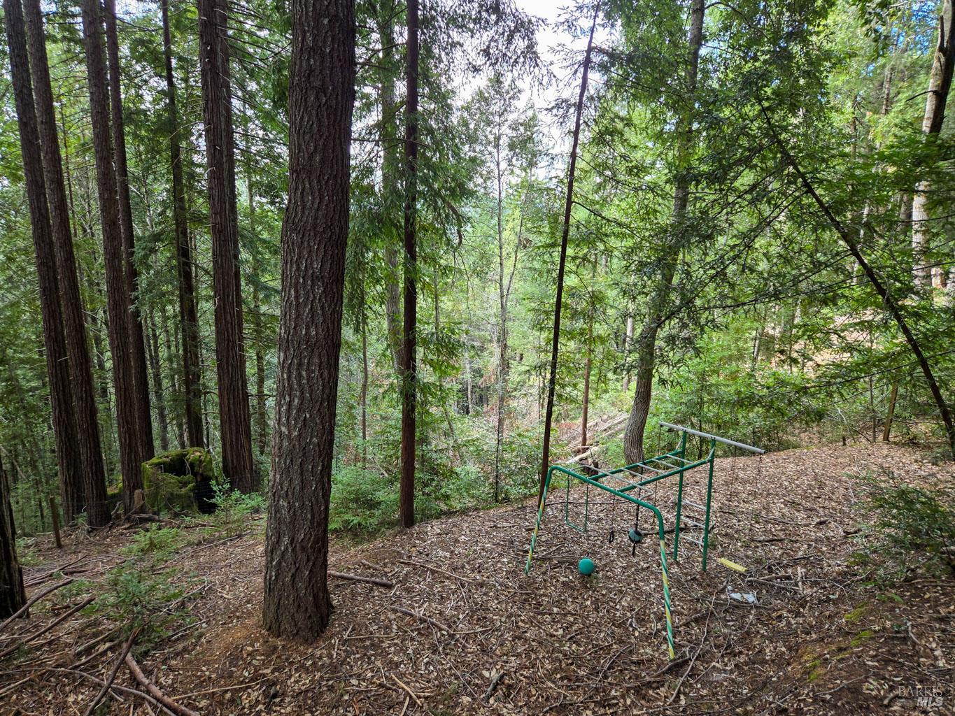 4030 Ridge Circle Willits CA 95490