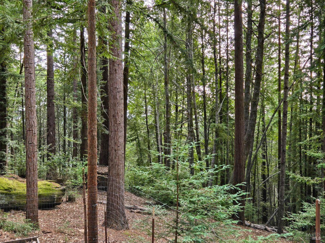 4030 Ridge Circle Willits CA 95490