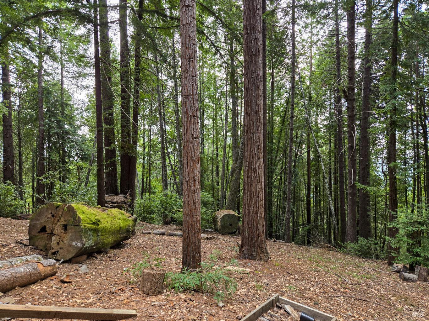 4030 Ridge Circle Willits CA 95490