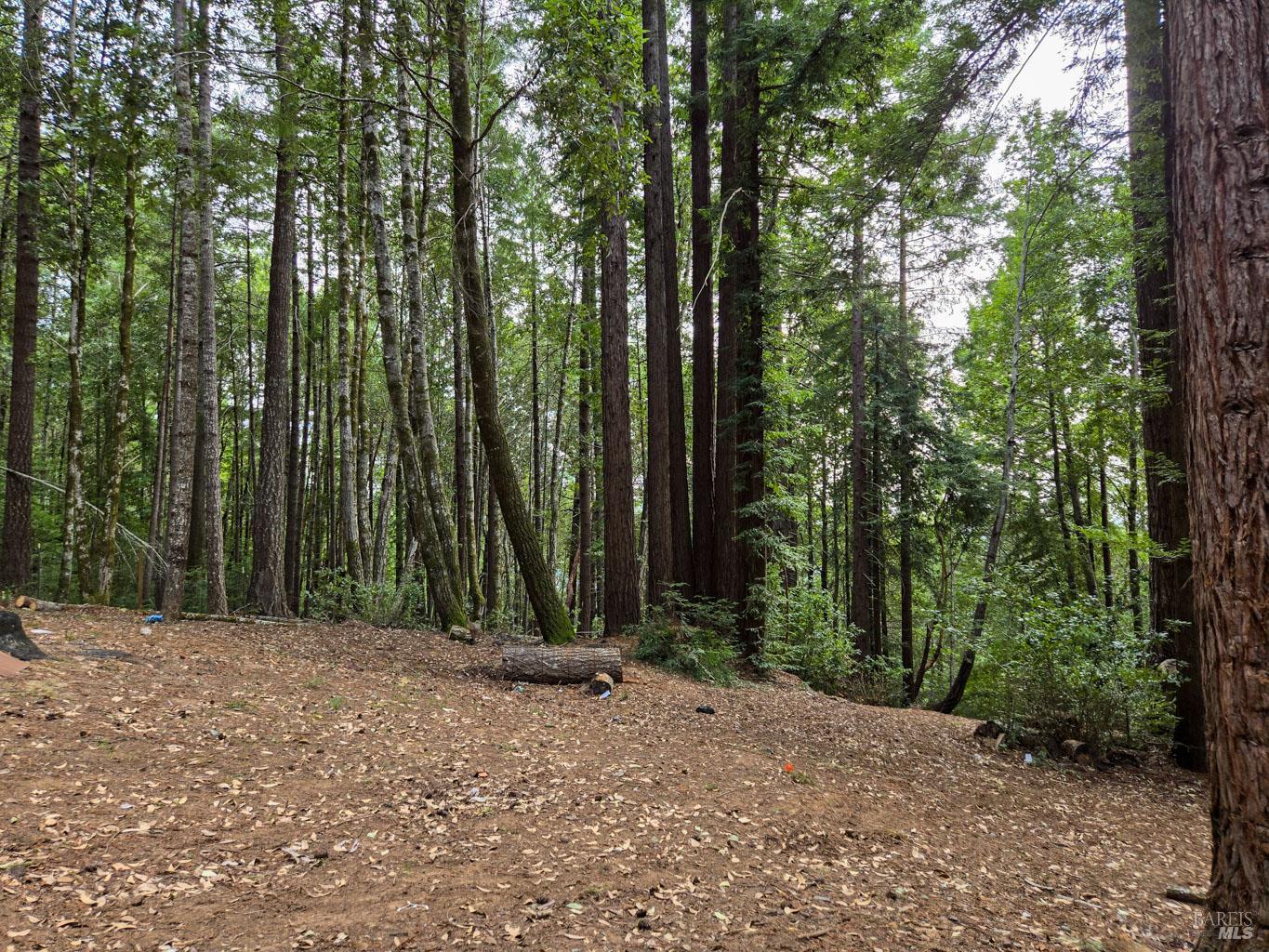 4030 Ridge Circle Willits CA 95490