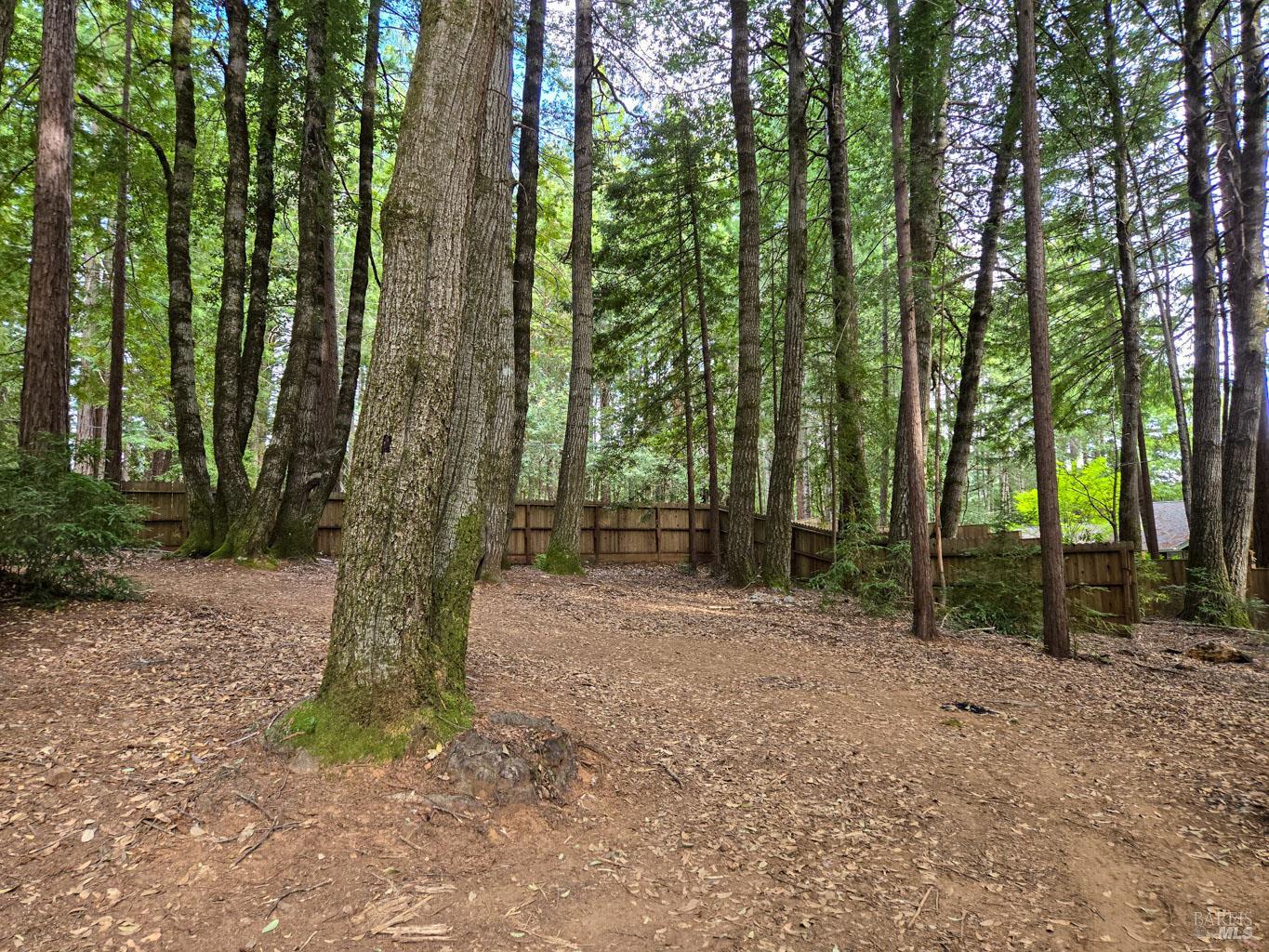 4030 Ridge Circle Willits CA 95490