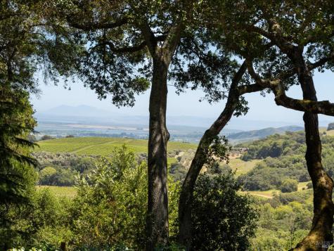 3810 White Alder Sonoma CA 95476