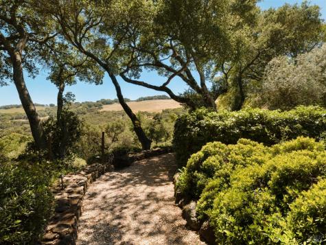 3810 White Alder Sonoma CA 95476