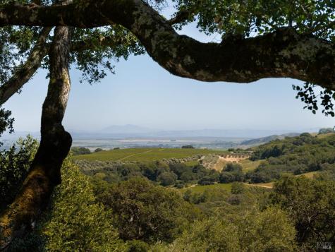 3810 White Alder Sonoma CA 95476