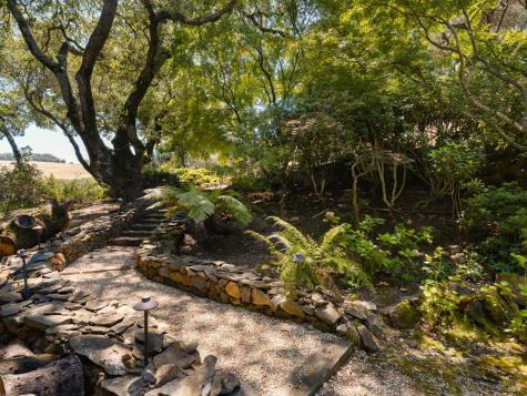 3810 White Alder Sonoma CA 95476