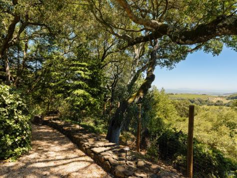 3810 White Alder Sonoma CA 95476