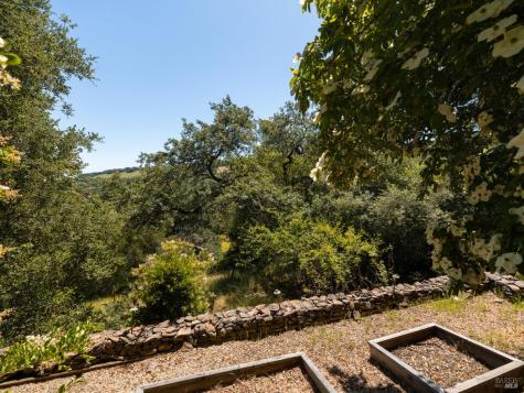 3810 White Alder Sonoma CA 95476