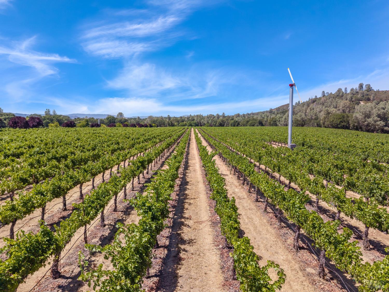 7555 Highway 29 Kelseyville CA 95451